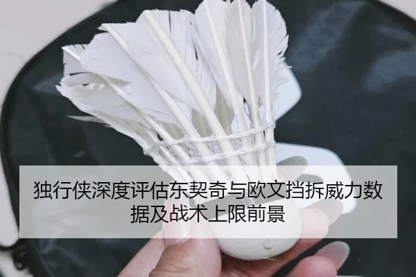 独行侠深度评估东契奇与欧文挡拆威力数据及战术上限前景